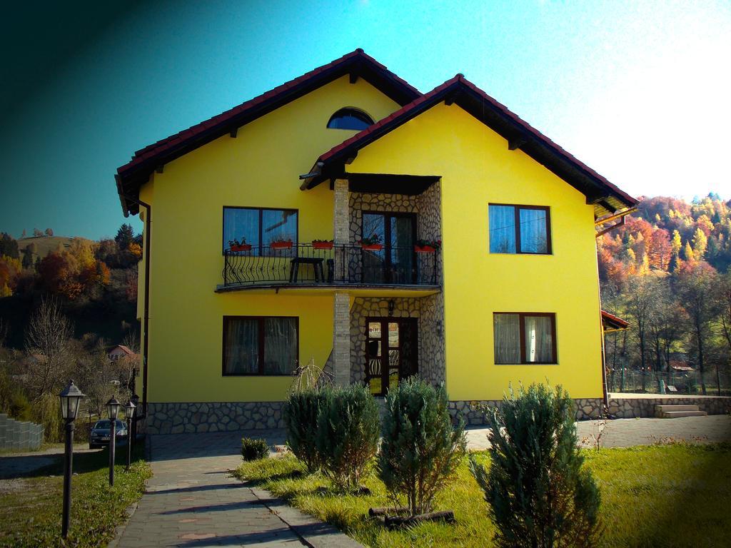 Casa Olteanu Pension Moieciu de Jos Exterior photo